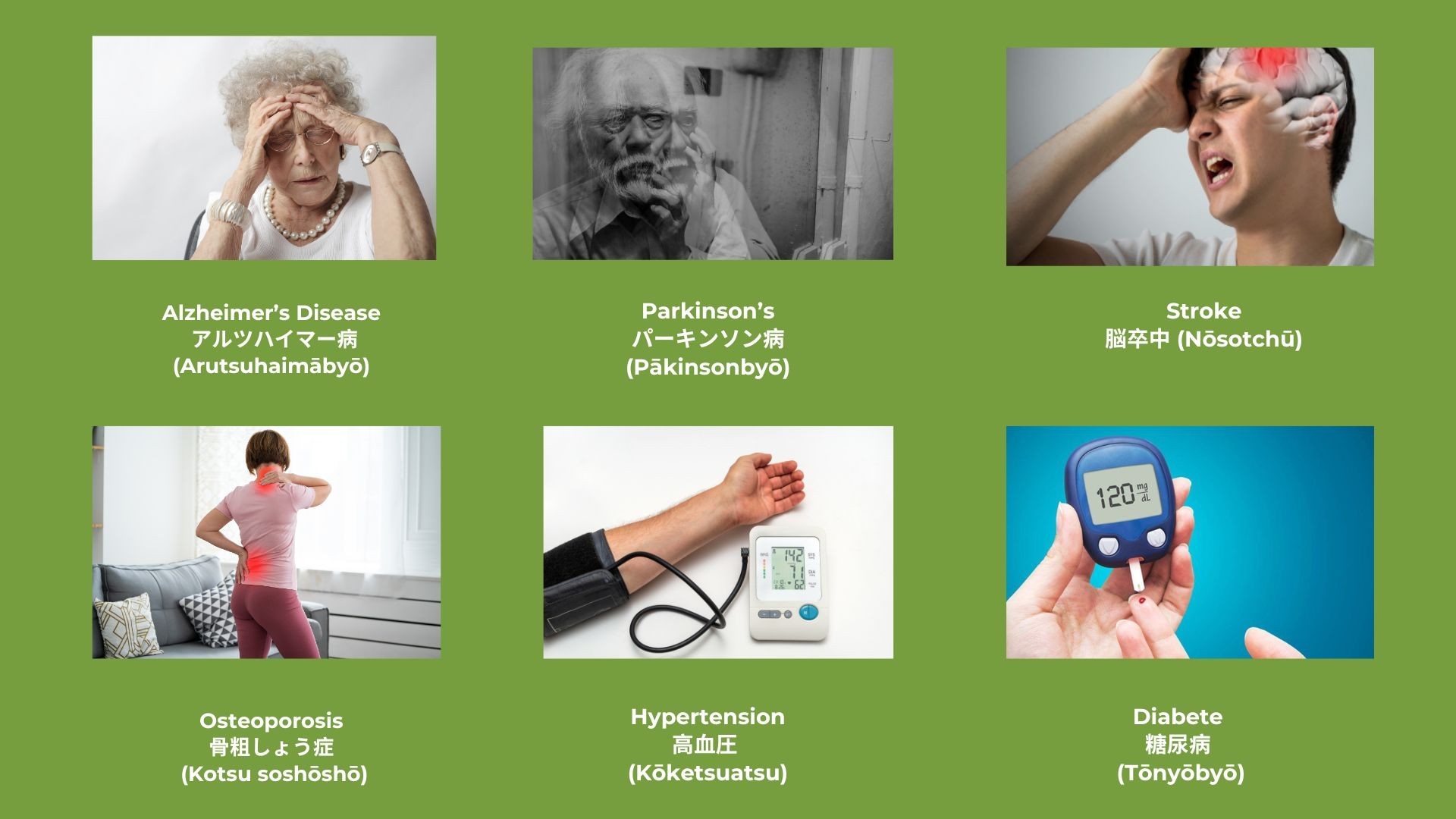 Japanese caregiver vocabulary - Common Health Conditions in the Elderly 